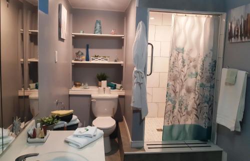 a bathroom with a toilet and a shower at Gracies Fallsview Getaway in Niagara Falls