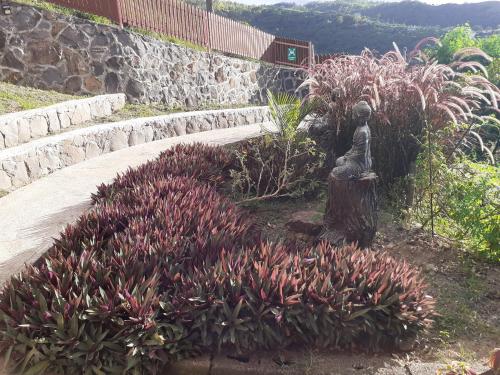 a garden with a statue in the middle of some plants at Résidence Véronia in Rodrigues Island