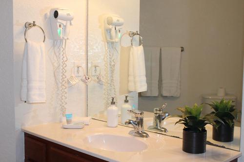 een badkamer met een wastafel en een spiegel bij 210 Disney Universal Convention Center in Orlando