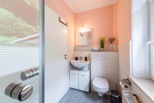 uma casa de banho com um WC e um lavatório em Haus am Malerweg em Bad Schandau
