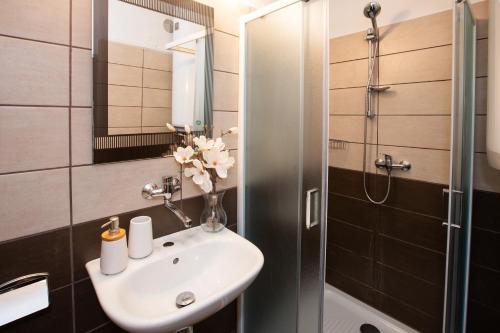 W łazience znajduje się umywalka i prysznic. w obiekcie Chaloupka U Brány w mieście Rožmberk nad Vltavou