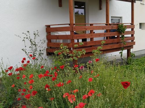 un campo de flores rojas delante de una casa en Monteur - Ferienwohnung - Marburg-Biedenkopf - Steffenberg - Erdgeschoss mit Balkon, en Obereisenhausen