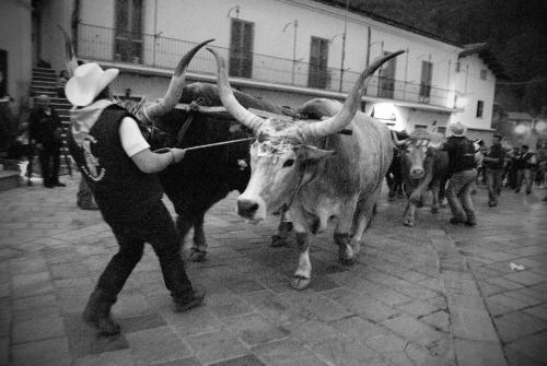 a person with long horns walking down a street with cows at Tana Libera Tutti 1 Nature, Yourself, Love in Viggianello