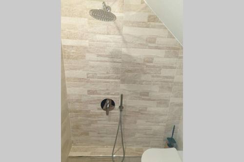 a bathroom with a shower with a toilet at Cosy Charming Apartment in Blagoevgrad