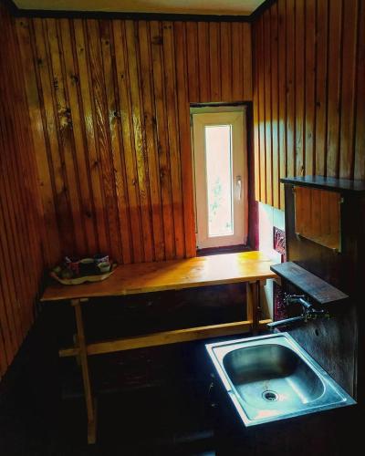 a kitchen with a sink and a wooden wall at Садиба у пані Марії in Vorokhta