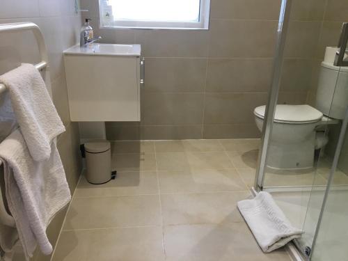 uma casa de banho com um WC e uma cabina de duche em vidro. em Beautiful 1 BED Serviced APARTMENT COBHAM Town Centre em Cobham