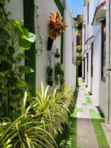 Gallery image of Bean Grass Homestay in Hoi An