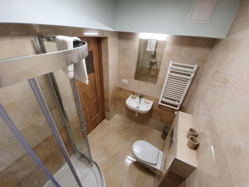 ein Bad mit einem WC, einer Dusche und einem Waschbecken in der Unterkunft Pokoje Gościnne Zakopane in Zakopane