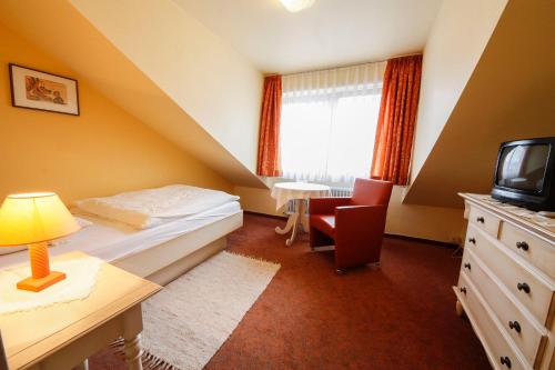 Zimmer mit einem Bett, einem Schreibtisch und einem TV in der Unterkunft Gästehaus Garni Merk in Immenstaad am Bodensee