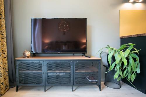 un televisor en la parte superior de un tocador con una planta en Das Appartement Tallinn, en Tallin