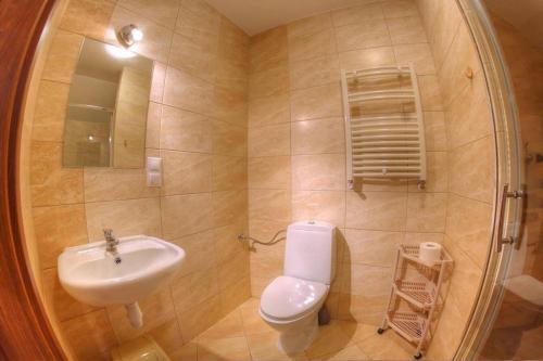 a bathroom with a toilet and a sink at Dom Gościnny Flauta II in Ustka