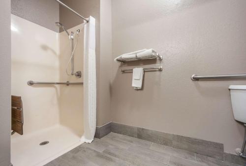 uma casa de banho com um chuveiro e um WC. em Quality Inn & Suites West Omaha - NE Linclon em Omaha