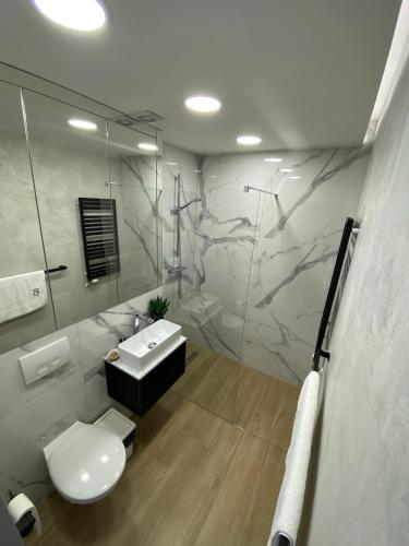 a bathroom with a toilet and a sink and a shower at Willa KWADRAT 12 in Sandomierz