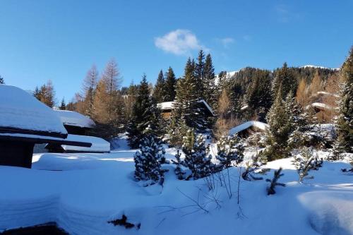 a snow covered yard with trees and a house at Chalet Wulli in der Nähe der Skianlagen Savognin in Savognin