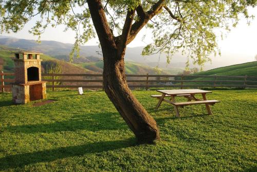 una mesa de picnic y un árbol en un campo en La Casa de Bustantegua, en Selaya