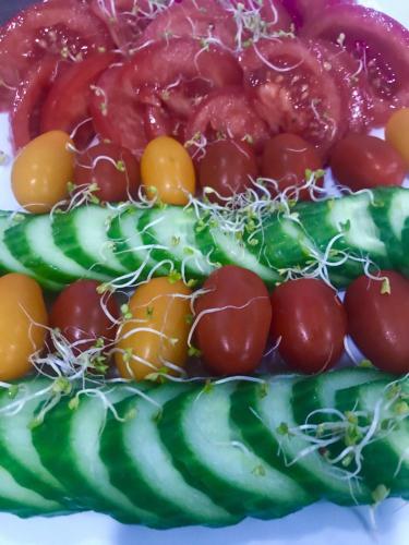 a pile of cucumbers and tomatoes on a plate at Restauracja Sonata in Zwierzyniec