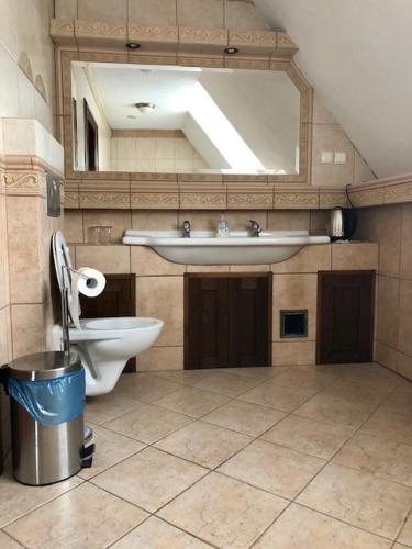 a bathroom with a sink and a toilet at Willa Na Wzgórzu Wandy in Duszniki Zdrój