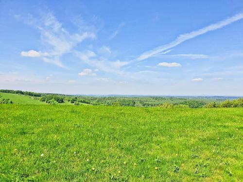 a field of green grass with a blue sky at Penzion ORION in Petrovice