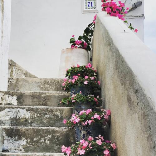a set of stairs with pink flowers on them at La Baia di Napoli in Capri