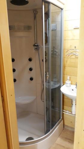 a bathroom with a shower and a sink at Víziszony Nyaraló Gerendaház in Mindszent