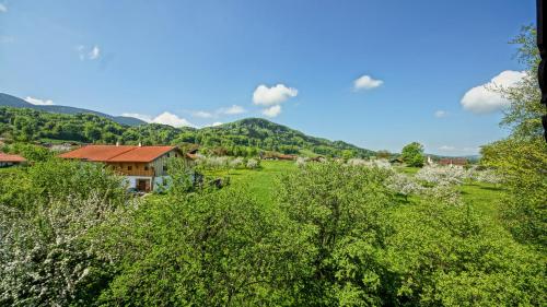 a house in a field with mountains in the background at Gästehaus Funk in Bad Feilnbach