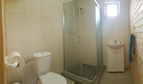 La salle de bains est pourvue de toilettes, d'une douche et d'un lavabo. dans l'établissement Willa Aleksander, à Rewal