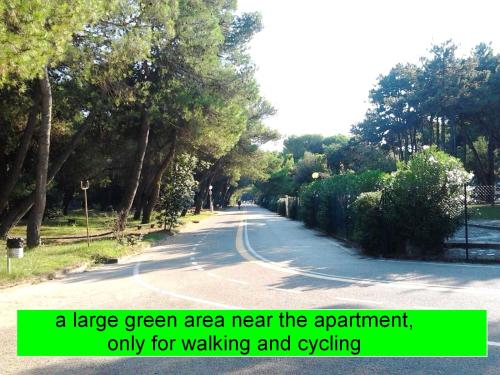 a large green area near the apartment only for walking and cycling at Cristallo Sea View in Lignano Sabbiadoro