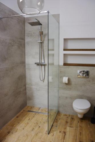 a shower stall with a toilet in a bathroom at Czarny Dział in Wysowa-Zdrój
