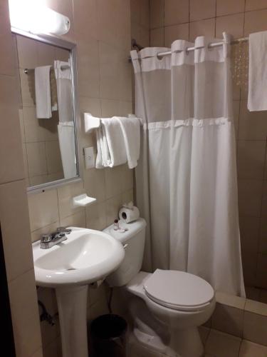 サン・ルイス・ポトシにあるHotel Napolesの白いトイレと洗面台のあるバスルーム
