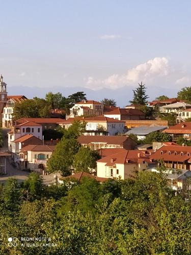 una pequeña ciudad con casas en una colina en GUEST HOUSE DAVID, en Signagi