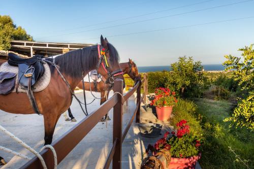 Agriturismo Val Di Noto photo 2