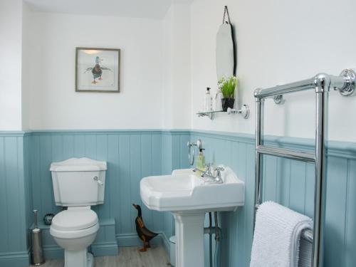 a bathroom with a white toilet and a sink at Troutbeck Cottage in Ludlow