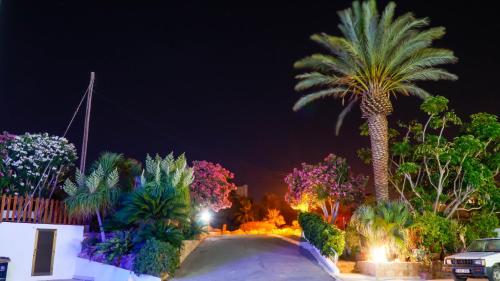 a palm tree at night with a car on a driveway at Rododafni Beach Apartments in Paphos City