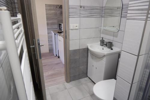 La petite salle de bains est pourvue de toilettes et d'un lavabo. dans l'établissement Apartments Habert, à Horní Planá