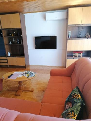 Μια τηλεόραση ή/και κέντρο ψυχαγωγίας στο Apartments Novak