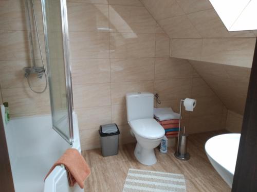 a bathroom with a toilet and a shower and a sink at Apartament u Basi in Jabłonka