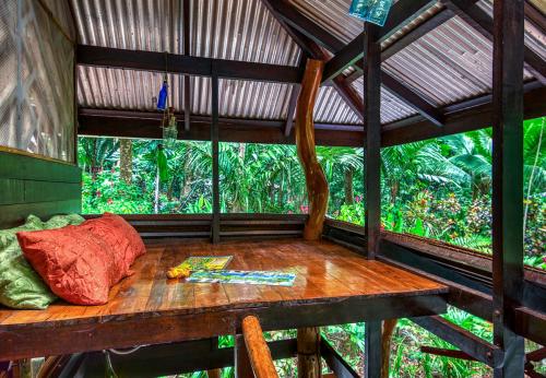 Сад в Congo Bongo EcoVillage Costa Rica