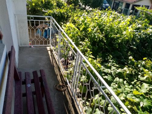 a staircase leading up to a garden of plants at Sobe Jacević in Donji Milanovac