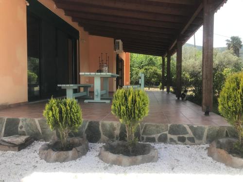 a patio with two potted trees in front of a building at Country house in Galatas