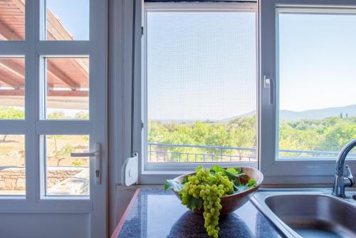 uma cozinha com uma taça de uvas num balcão em Holiday house with sea view and private garden em Samos