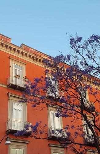 MONART HOSPITALITY Cavour