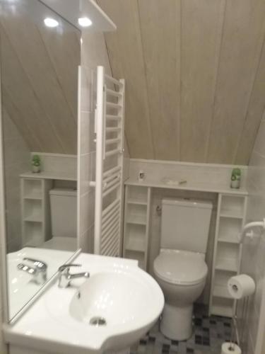uma casa de banho com um lavatório branco e um WC. em LA CLIMONTAINE em Urbeis