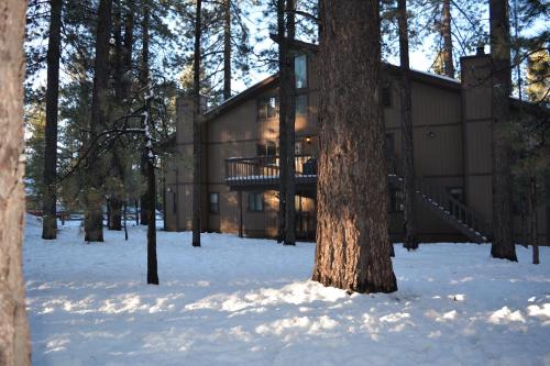 a building in the woods in the snow at Snow Summit Getaway Home in Big Bear Lake