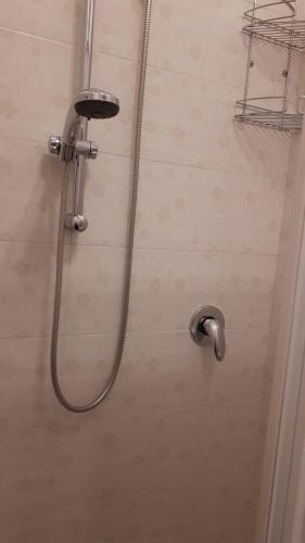 a shower with a shower head in a bathroom at Affittacamere Il Conte in Follonica
