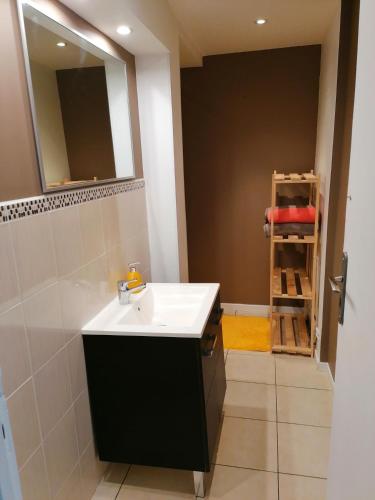 La salle de bains est pourvue d'un lavabo, d'un miroir et d'une échelle. dans l'établissement Face port proche nausicaa avec parking privé gratuit, à Boulogne-sur-Mer