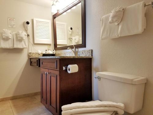 a bathroom with a toilet and a sink and a mirror at Parc Corniche Condominium Suites in Orlando