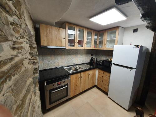 a kitchen with a white refrigerator and a sink at Talasnal Montanhas de Amor in Lousã