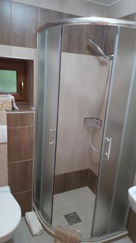 La salle de bains est pourvue d'une douche avec une porte en verre. dans l'établissement Penzión Zunama, à Bardejovské Kúpele