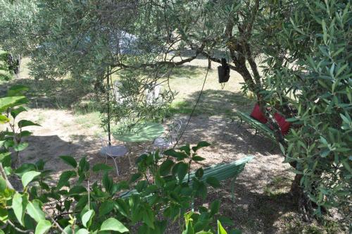 a swing hanging from a tree in a garden at Le Jas Du Colombier in Moustiers-Sainte-Marie