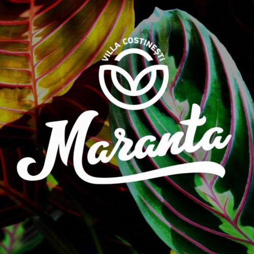 a picture of a marmite sign on a plant at Casa Maranta in Costinesti